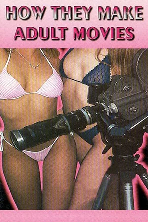 Постер: How They Make Adult Movies