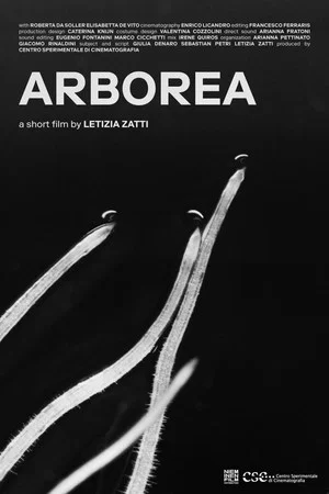 Постер: Arborea