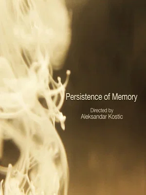 Постер: Persistence of Memory