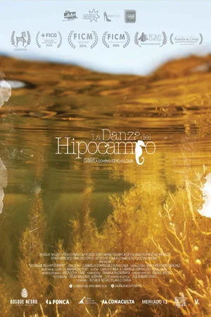 Постер: The Dance of Memory