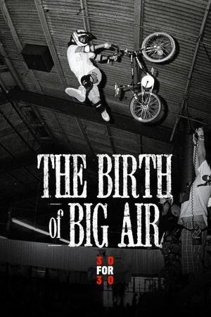 Постер: The Birth of Big Air