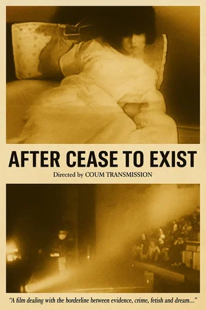 Постер: After Cease to Exist