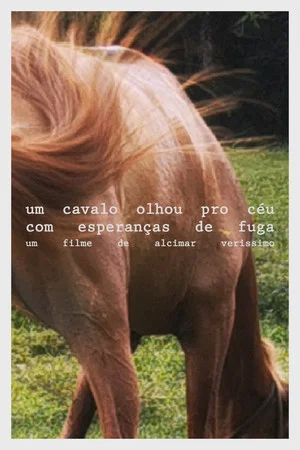 Постер: A horse looked at the sky with hope of escape