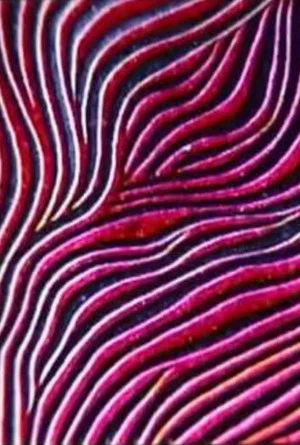 Постер: Abstract Patterns