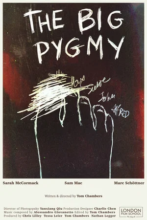 Постер: The Big Pygmy