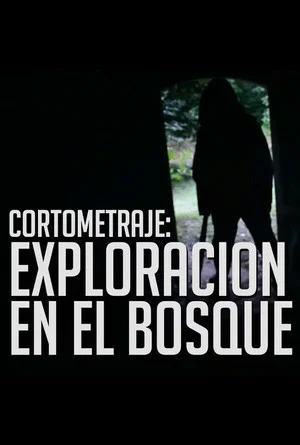 Постер: Tragic Search in the Woods