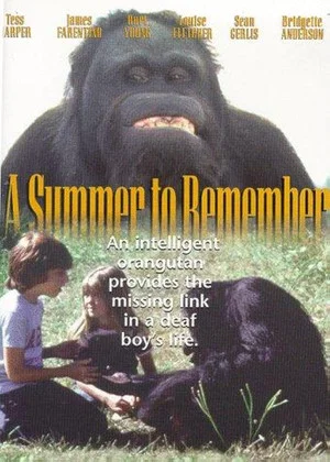 Постер: A Summer to Remember