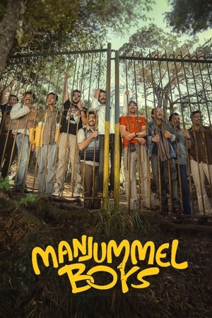 Постер: Парни из Манджуммела