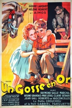 Постер: Un gosse en or