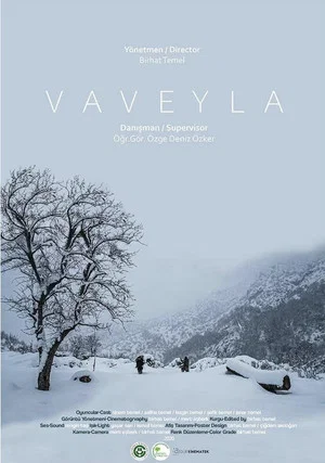 Постер: Vaveyla