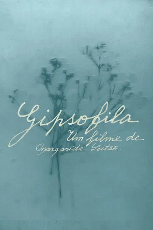 Постер: Gypsophila