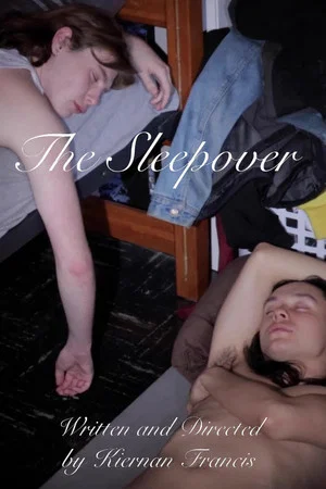Постер: The Sleepover