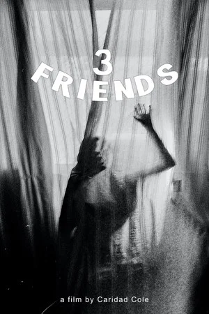 Постер: 3 Friends
