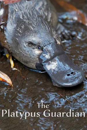 Постер: The Platypus Guardian
