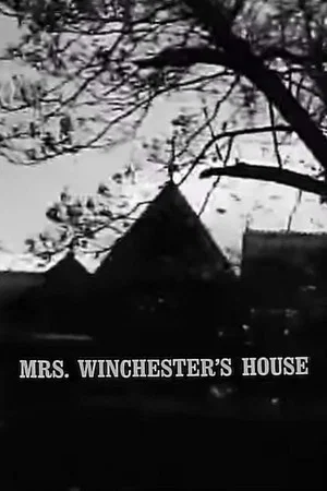 Постер: Mrs. Winchester's House