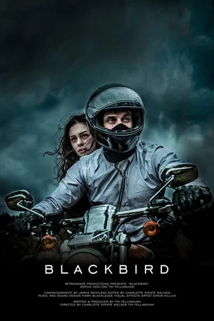 Постер: Blackbird