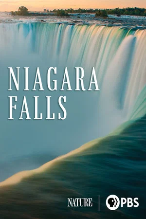 Постер: Niagara Falls