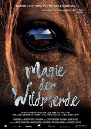 Постер: Magic of the Wild Horses