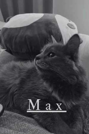 Постер: Max
