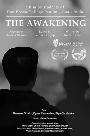 Постер: The Awakening