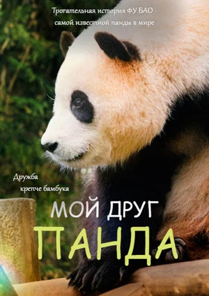 Постер: Мой друг панда