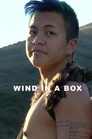 Постер: Wind in a Box
