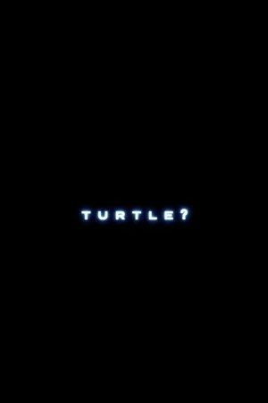 Постер: Turtle?
