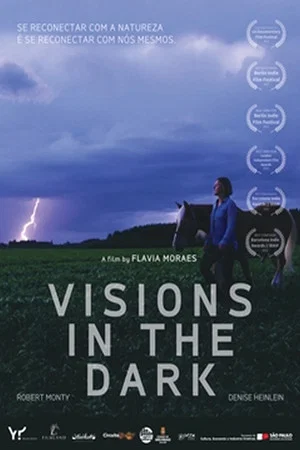 Постер: Visions in the Dark