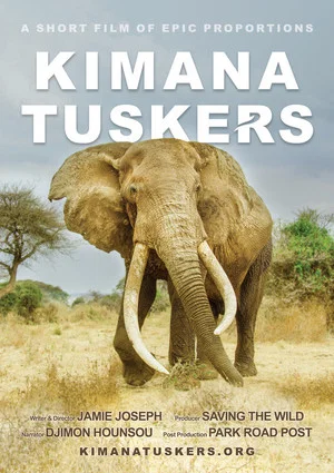 Постер: Kimana Tuskers