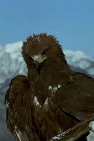 Постер: World of the Mountains