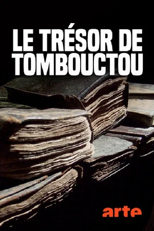 Постер: Der Schatz von Timbuktu, die Geschichte einer Rettung