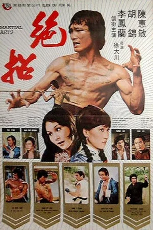 Постер: Martial Arts
