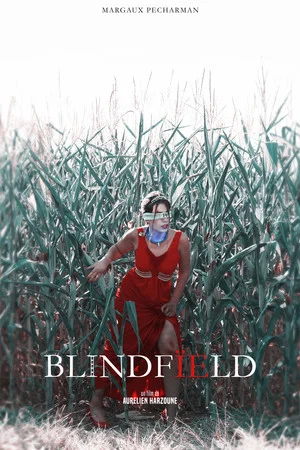 Постер: Blindfïeld