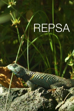 Постер: Repsa