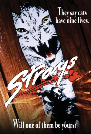 Постер: Strays