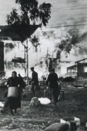 Постер: Burnt in Memories