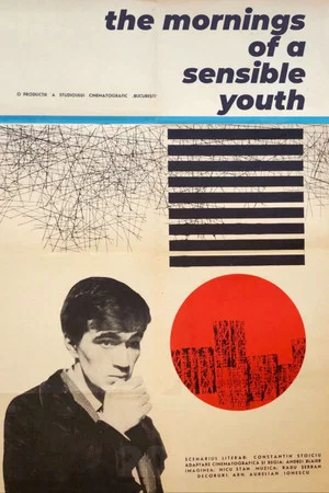 Постер: The Mornings of a Sensible Youth