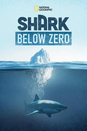 Постер: Shark Below Zero
