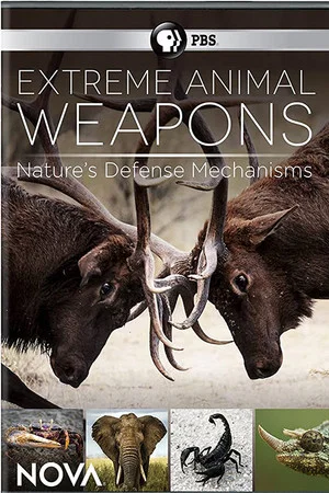Постер: Extreme Animal Weapons