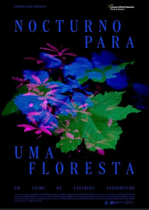 Постер: Nocturno Para Uma Floresta