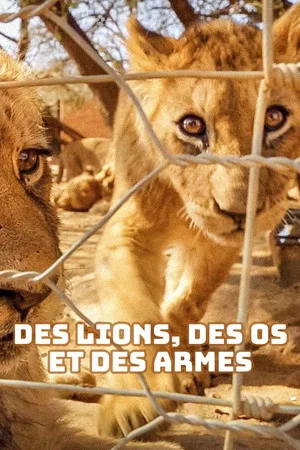 Постер: Des lions, des os et des armes - Le trafic des fauves