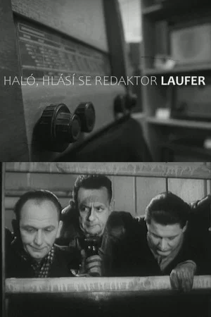 Постер: Haló, hlásí se redaktor Laufer!