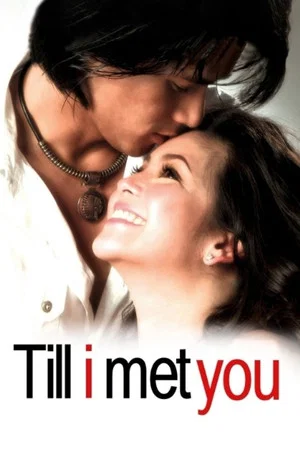Постер: Till I Met You