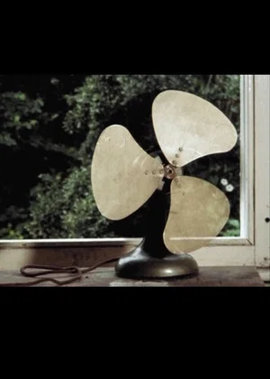 Постер: Fan