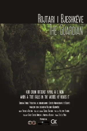 Постер: The Guardian