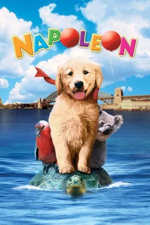 Постер: Napoleon
