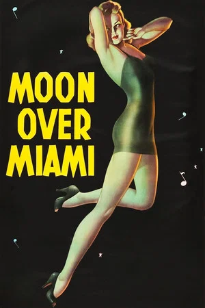 Постер: Moon Over Miami