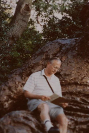 Постер: 27 Thoughts About My Father