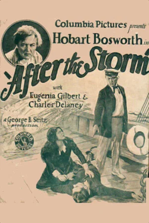 Постер: After the Storm