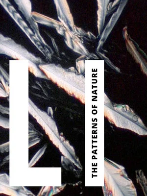 Постер: Li: The Patterns of Nature